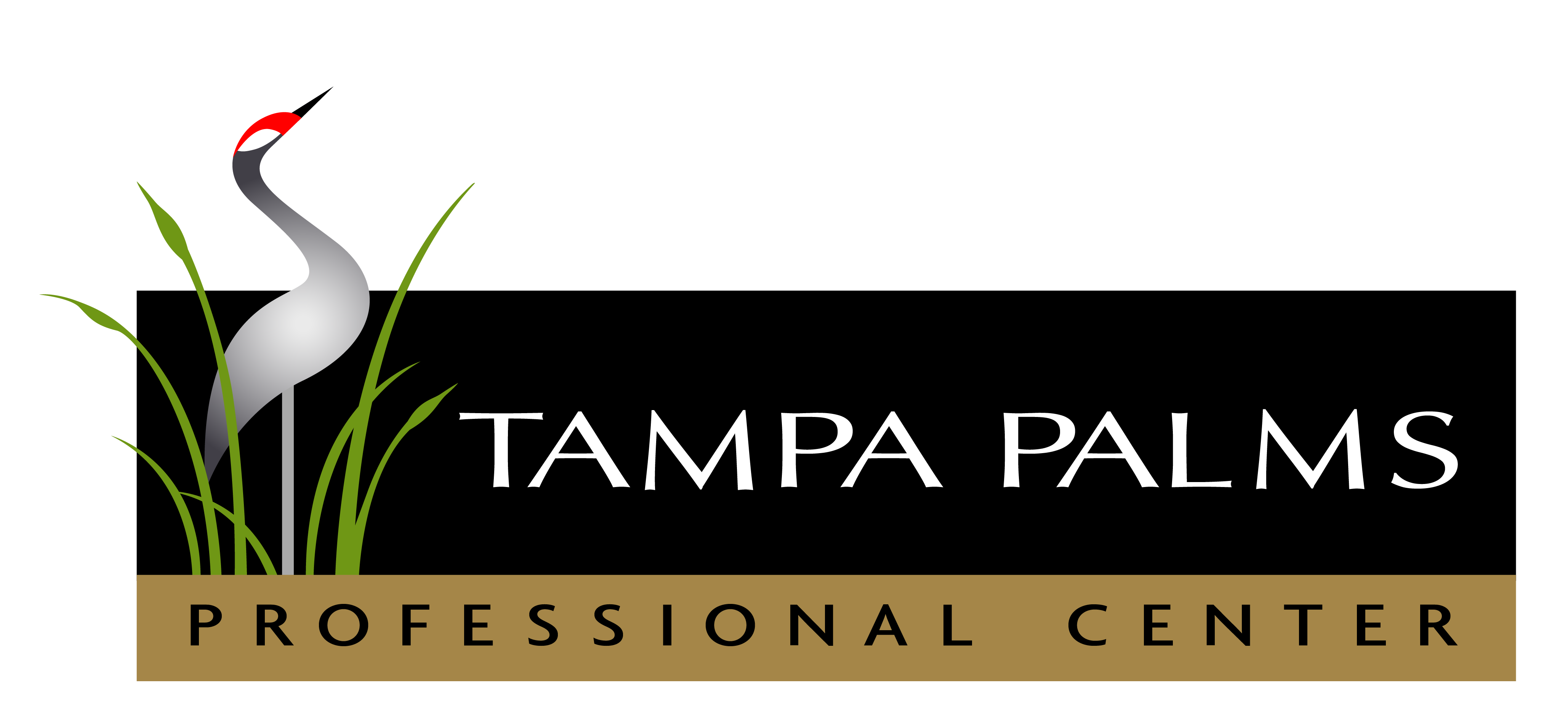 Tampa Palms Professional Center